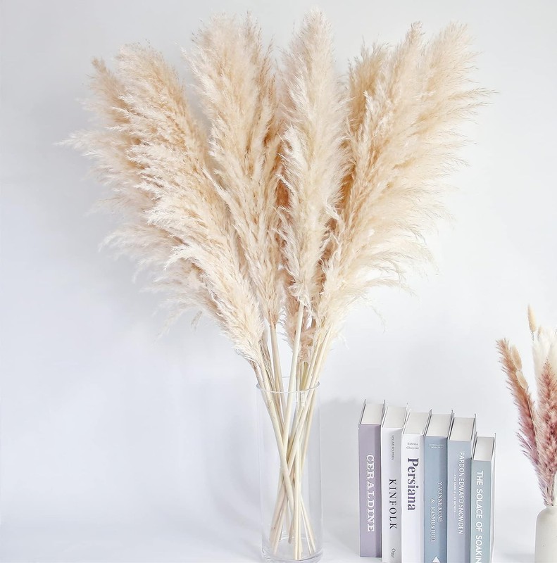 Pampas Grass Home Decor 40 Inch Tall 10 Count Elegant Dried Flower Arrangements gallery