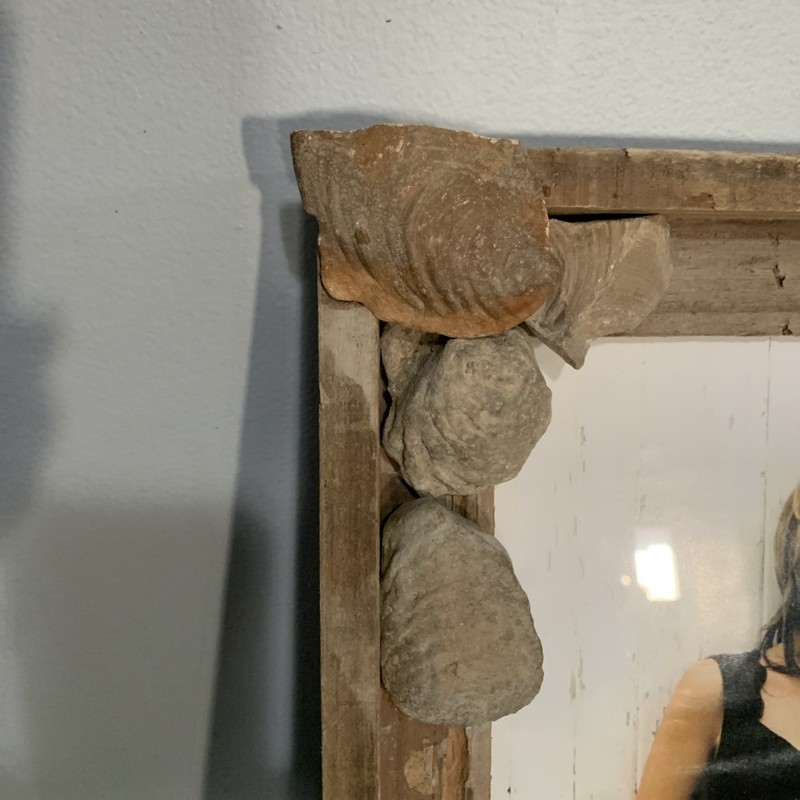 Beautiful, Totally Unique Fossil-Embellished Picture Frame gallery