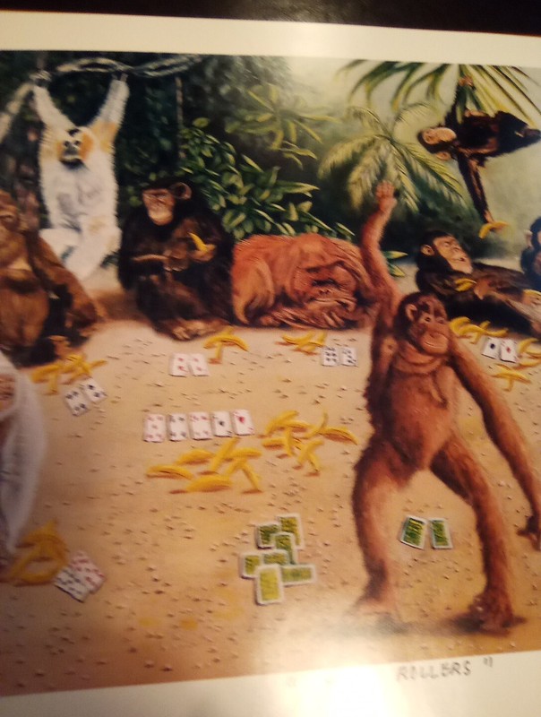 HIGH ROLLER MONKEYS, GORILLAS & MORE PICTURE GREAT FOR ANY COLLECTION! gallery