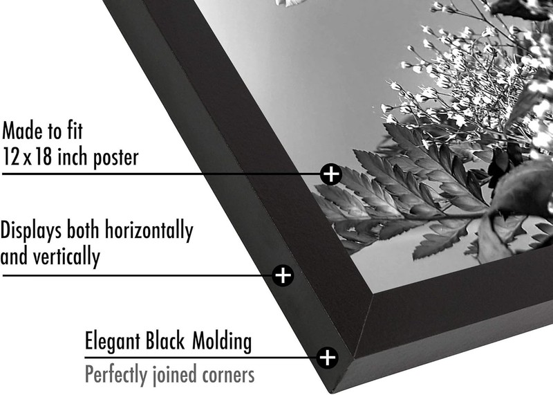 Americanflat 12x18 Poster Frame with Polished Plexiglass - Black Picture Frame - gallery