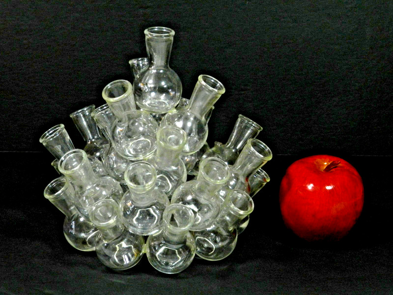 Glass Flower Frog Bud Vase Plant Propagation