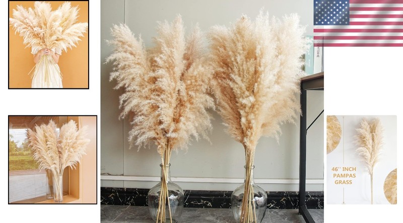 Pampas Grass Home Decor 40 Inch Tall 10 Count Elegant Dried Flower Arrangements gallery