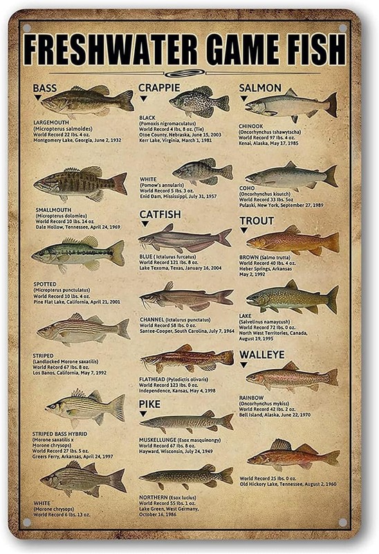 Fishing Wall Decor Rustic Cabin Hunting Fishing Signs Lake House Decor For Home