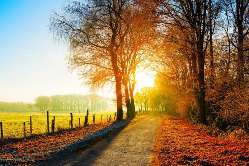 Autumn Fall Decor Farm Fields Country Road Sunset Landscape Photo Photograph Coo