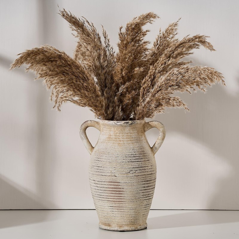 Large Ceramic Rustic Vase with 2 Handles, 9.8 inch Whitewashed Terra Cotta Va…