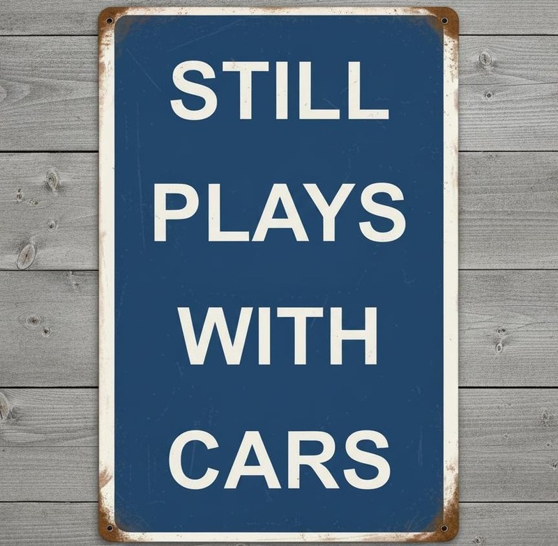 Still Plays With Cars 8 x 12 Blue Vintage Novelty Metal Sign Made In USA New!
