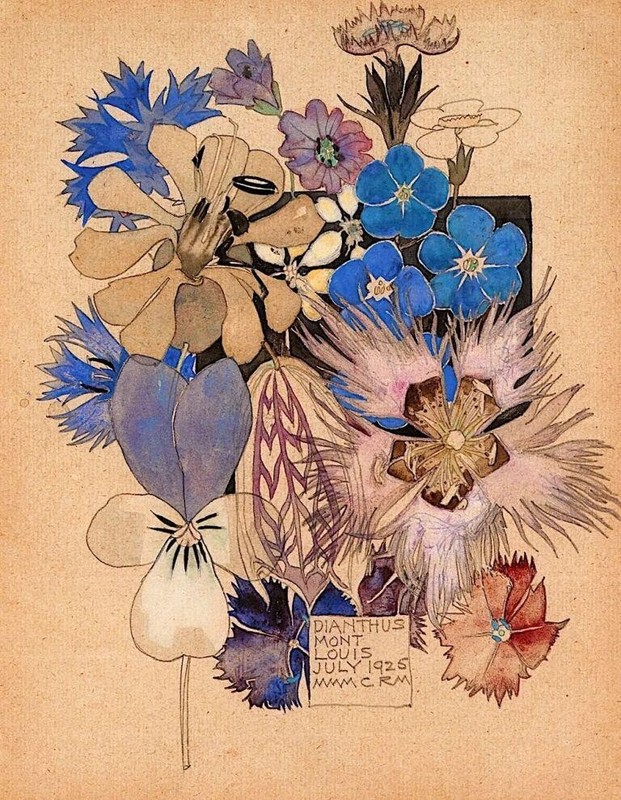 Dianthus : Charles Rennie Mackintosh : 1925 : Archival Art Print