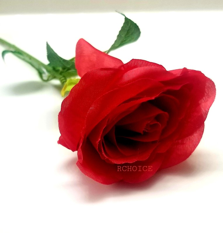 Rchoice Artificial Rose Flower Red Silk Roses with Stem Flowers Bouquet Wedding gallery