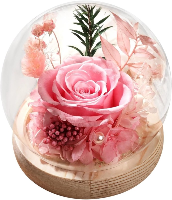 Preserved Real Rose in Glass Dome, Eternal Gift for Her Valentine’s Anniversary
