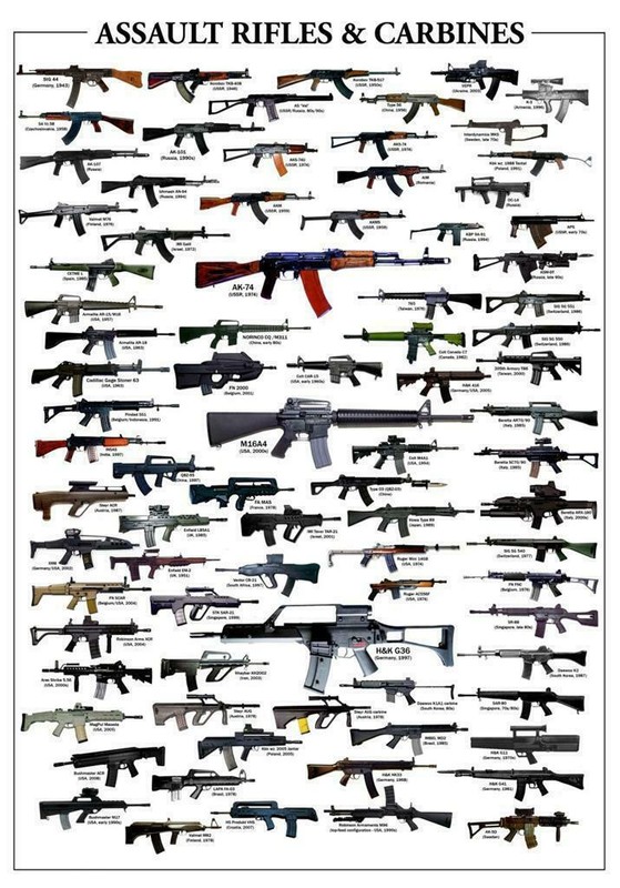 ASSAULT RIFLES & CARBINES GLOSSY POSTER PICTURE PHOTO guns weapons ak47 2010