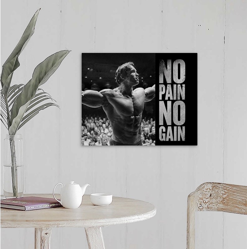 Arnold Schwarzenegger Canvas 16X20 Gym Wall Art Motivational Inspire Lift gallery