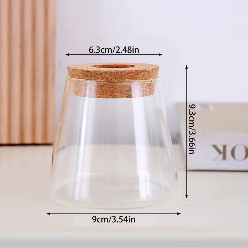 Plant Terrarium with Wooden Stand, Air Planter Bulb Glass Vase Metal Swivel Hold gallery