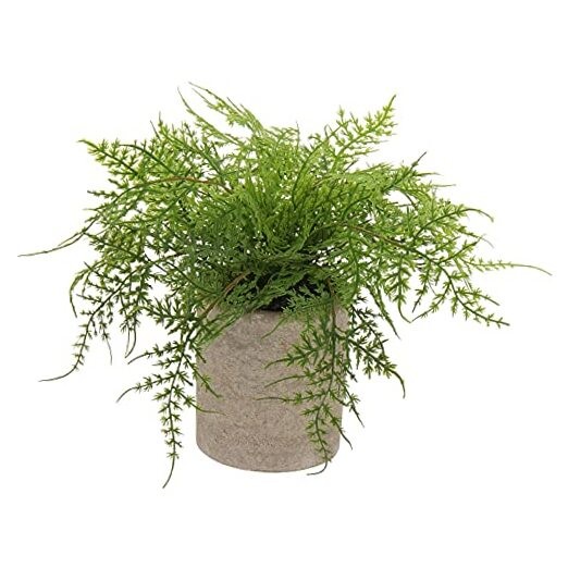 Small Fake Plant Potted Plants Artificial Decor Plastic Asparagus Color #03