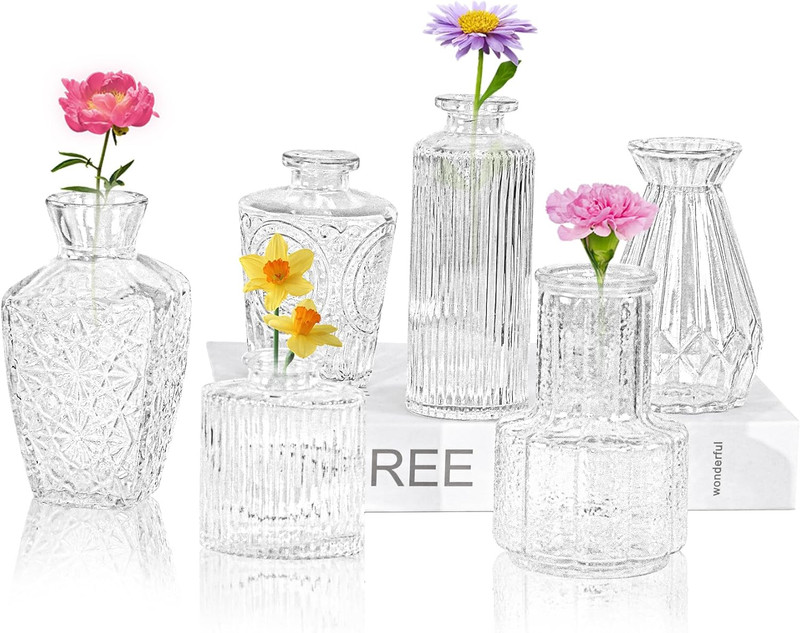 6Pcs Glass Bud Vase Set,Small Flower Vase for Tables Centerpieces Decor, Mini Vi