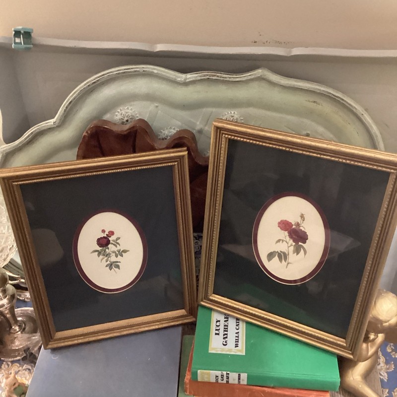 Botanical Framed Picture Classic Decor 9.25”x11" Antique Gold Frame Pair Art gallery