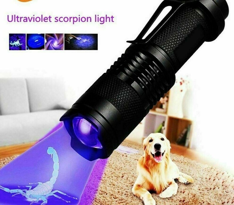Mini UV Blacklight Flashlight 395nm – Portable UV Torch for Pet Stains, Bed Bugs gallery