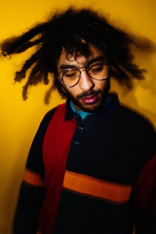R.A.P. Ferreira American Rapper – Hip Hop Musician – Songwriter – POSTER 20″x30″