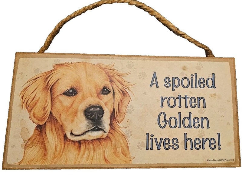 A Spoiled Rotten Golden lives here! Cute Retriever Dog Sign 5×10 Plaque Used