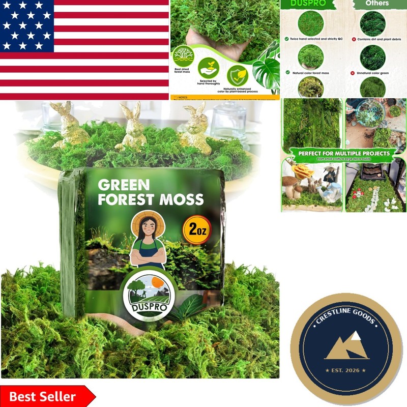 2 oz Green Forest Moss for Crafts – Real Dried Decorative Moss for Home Decor