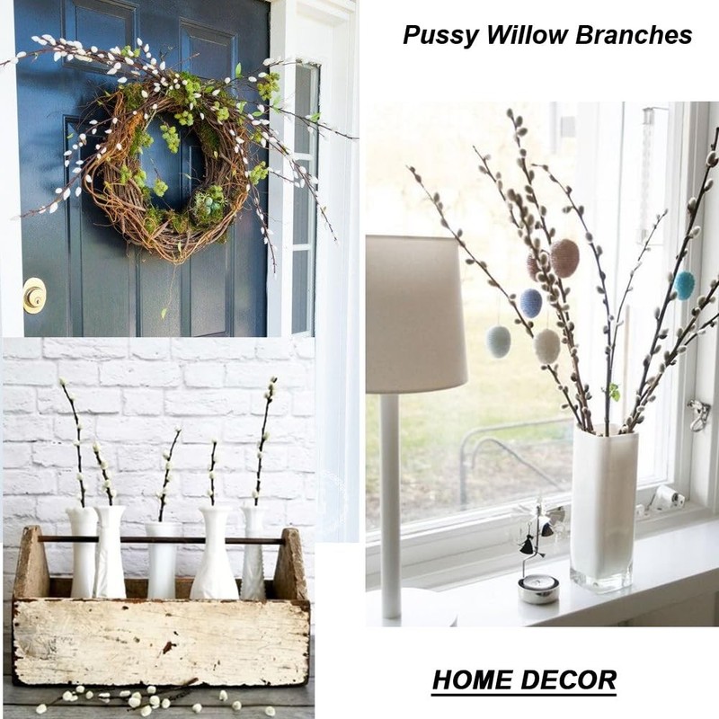 30 Branches Pussy Willow Branches for Vases 23 Inches Natural Dried Pussy Wil... gallery