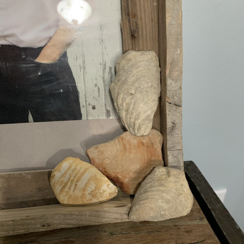 Beautiful, Totally Unique Fossil-Embellished Picture Frame gallery