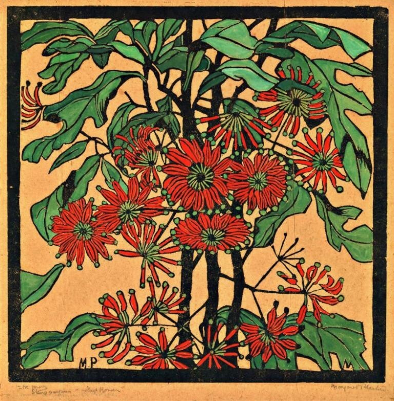 Firewheel Flower : Margaret Preston : 1932 : Art Print