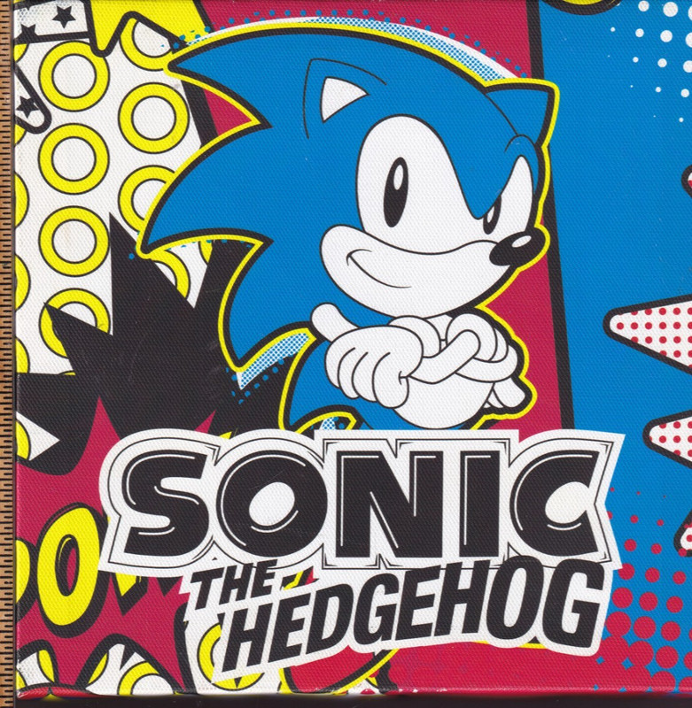 PYRAMID AMERICA SONIC THE HEDGEHOG CANVAS WALL ART DECOR 8X8 INCHES PAIR gallery