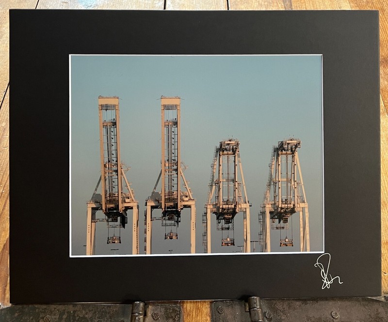 Four Cranes at Dusk, Oakland, California. Matted Fine Art Photographic Print