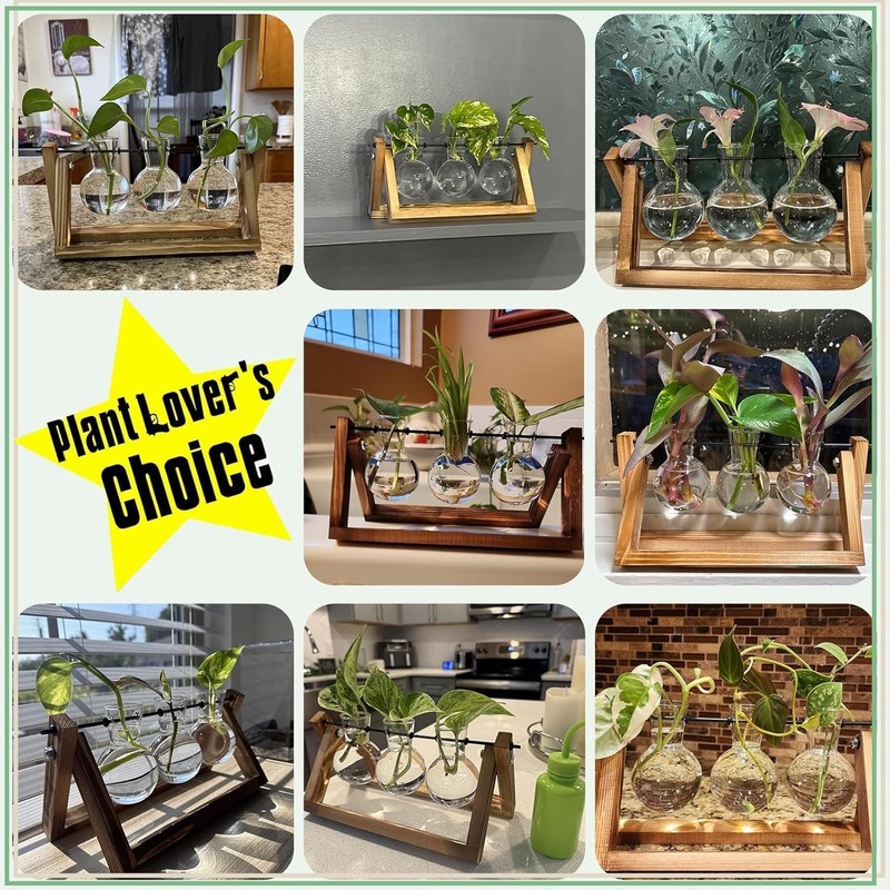 Plant Terrarium with Wooden Stand, Air Planter Bulb Glass Vase Metal Swivel H... gallery
