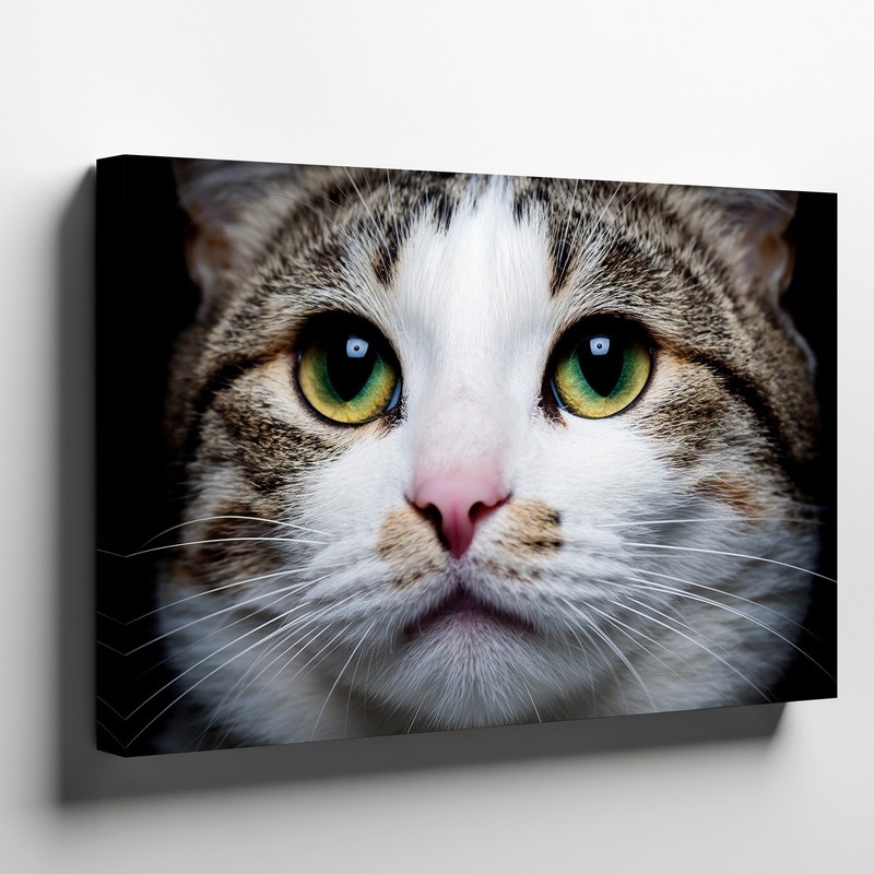 Create An Image Of A Playful Cat’s Close-up Face, Emphasizing Its Large Wall Art