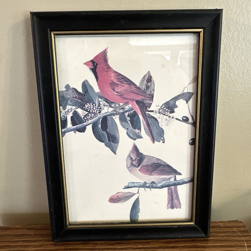 Cardinal Grosbeak John James Audubon Birds of America Wall Art Poster Print 6×8