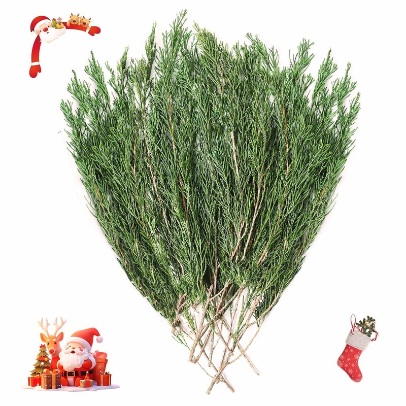6OZ Preserved Real Pine Leaves Branches -17” Natural Christmas Greenery Plan…