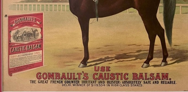 Art Print, 16x20, Gombault's Caustic Balm, 1904, Delhi, American Racehorse gallery
