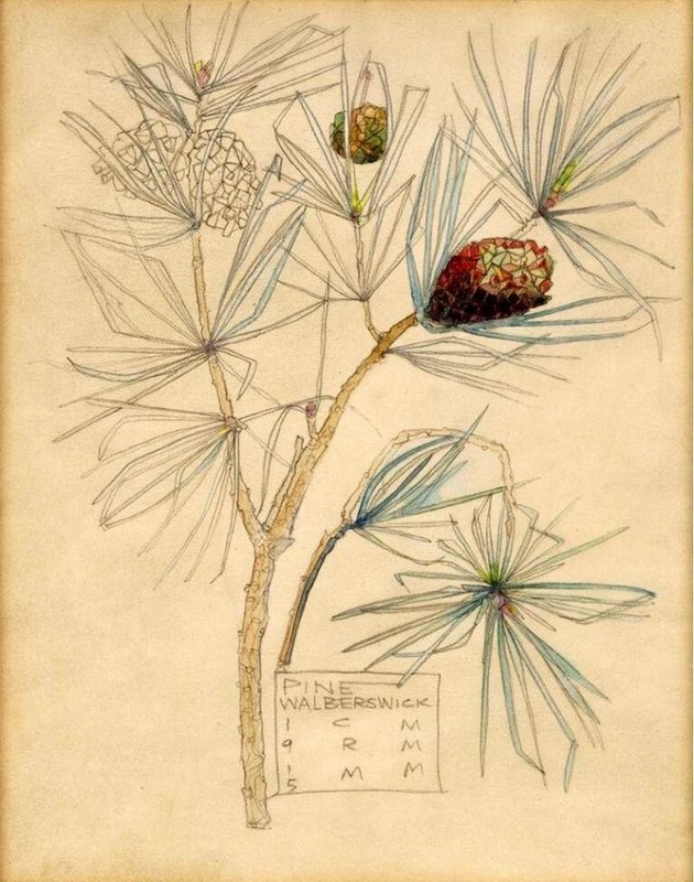 Pine : Charles Rennie Mackintosh : 1915 : Archival Art Print