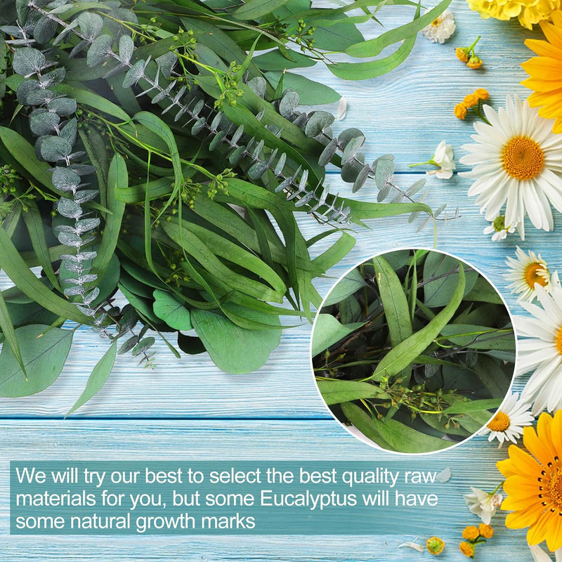 12 Pcs Mixed Real Dried Eucalyptus Leaves Stems - Preserved Eucalyptus gallery
