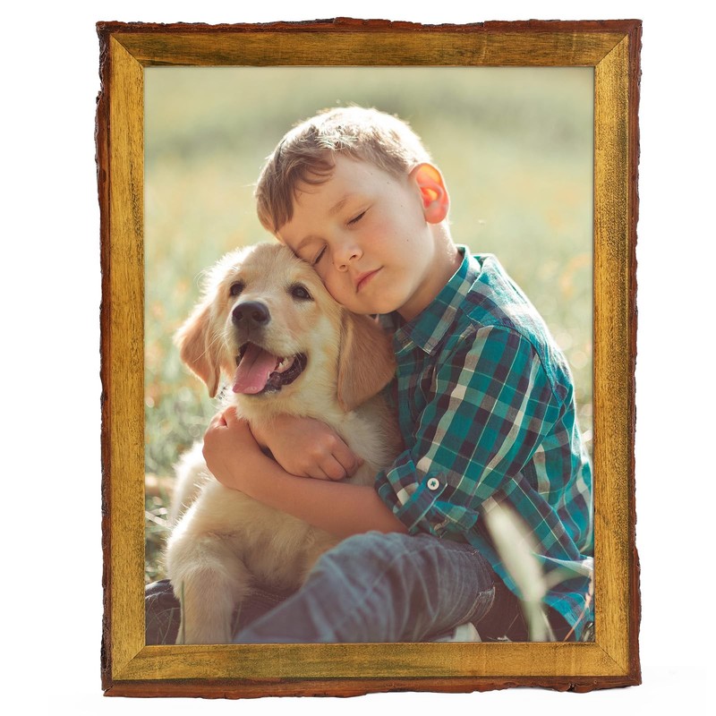 , 11×14 Picture Frame Rustic Brown, Solid Wood Picture Frame with Bark Edges …