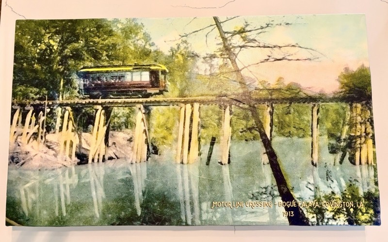 Covington, Louisiana canvas wall art 14 x 24