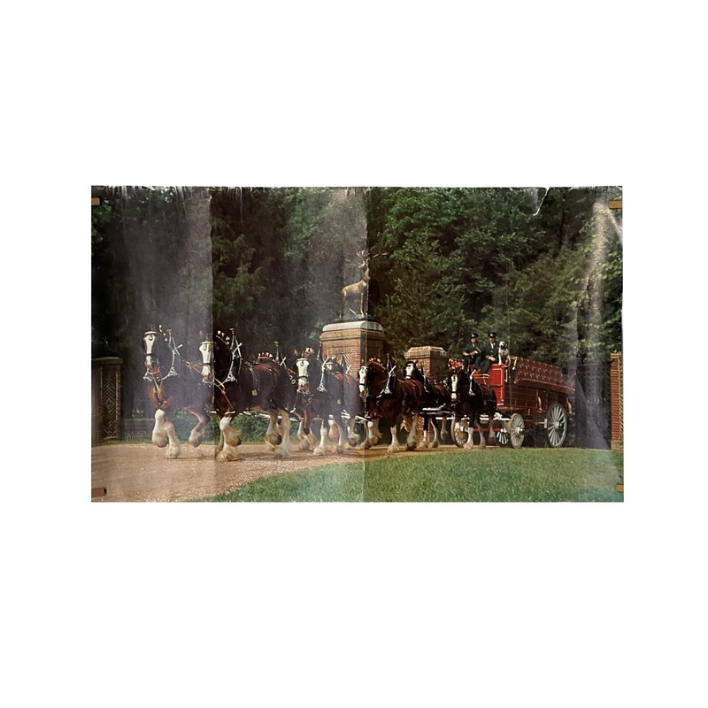 Anhauser Busch Budweiser Clydesdale Wagon Dalmatian Photo Print – 18 x 30 in