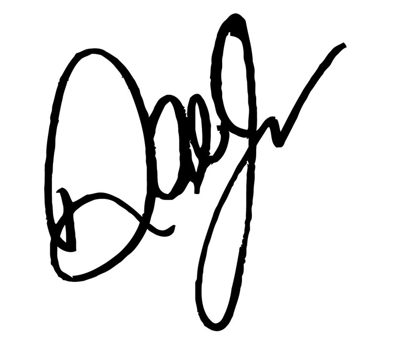 Dale Earnhardt JR JUNIOR autograph vinyl decal sticker NASCAR Daytona 500