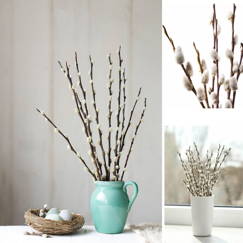 30 Branches Pussy Willow Branches for Vases 23 Inches Natural Dried Pussy Wil... gallery
