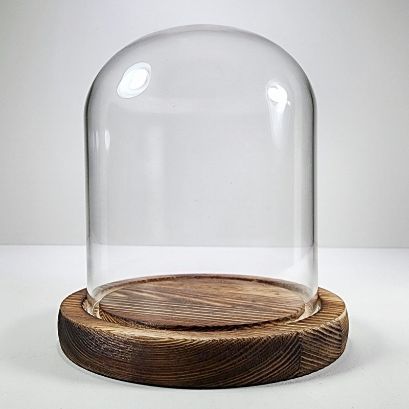 Glass Display Dome, Glass and Wood Cloche, Oddities Display Case gallery