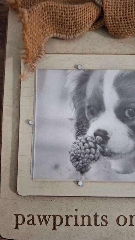 New Mud Pie Dog Puppy Photo Frame Wall Hanging Pawprints on the Heart Farmhouse gallery