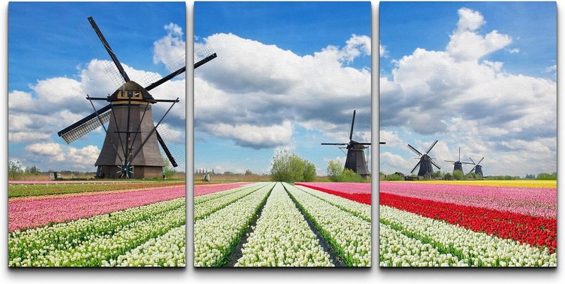 Wall26 Canvas Wall Art Set of 3 – Netherlands Tulips Field with Dutch Windmills