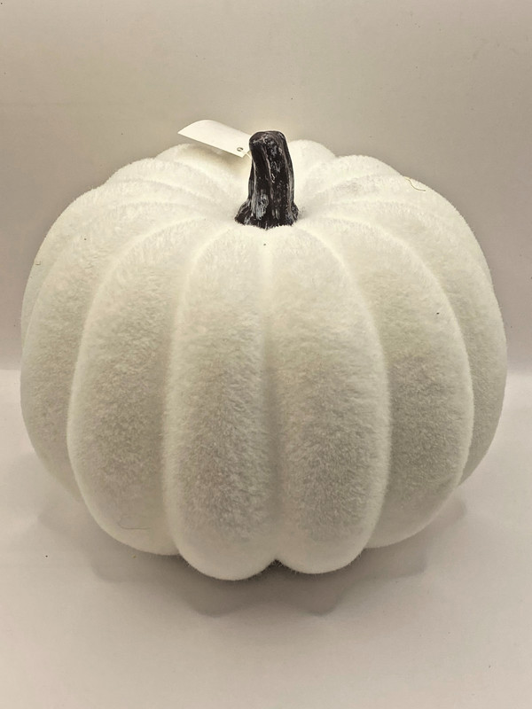 NEW 5.5″ X 4.5″ HOBBY LOBBY WHITE FASHION FALL PUMPKIN THANKSGIVING FREE SHIP