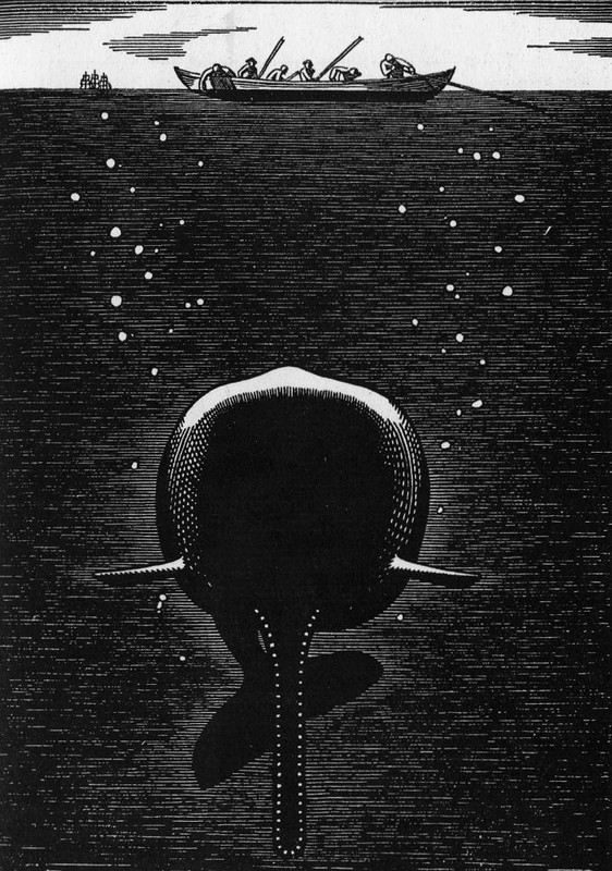 The Sounding Line by Rockwell Kent – Moby-Dick Illustration 1930 Art Print