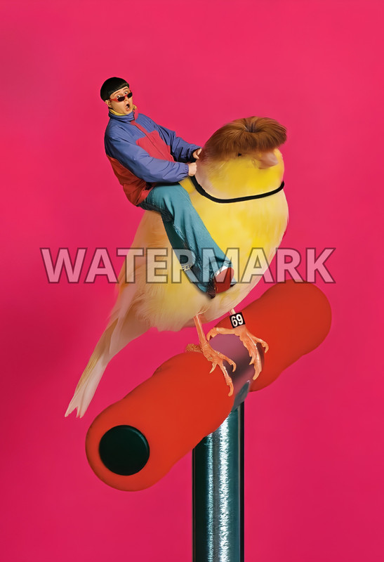 OLIVER TREE poster print SIZE 13”X19” home decor glossy photo paper #1