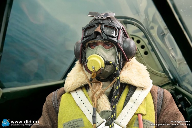In Stock DID K80187 1/6 WWII British Pilot Squadron Action Figure Soldier Model gallery