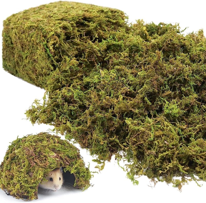 Artificial Moss For Diorama Micro-Landscape Terrarium