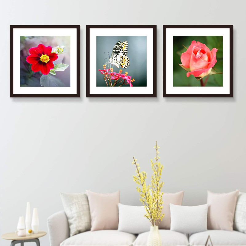 20x20 Black Solid Wood Frames with Mat, 16x16, 3 Pack gallery