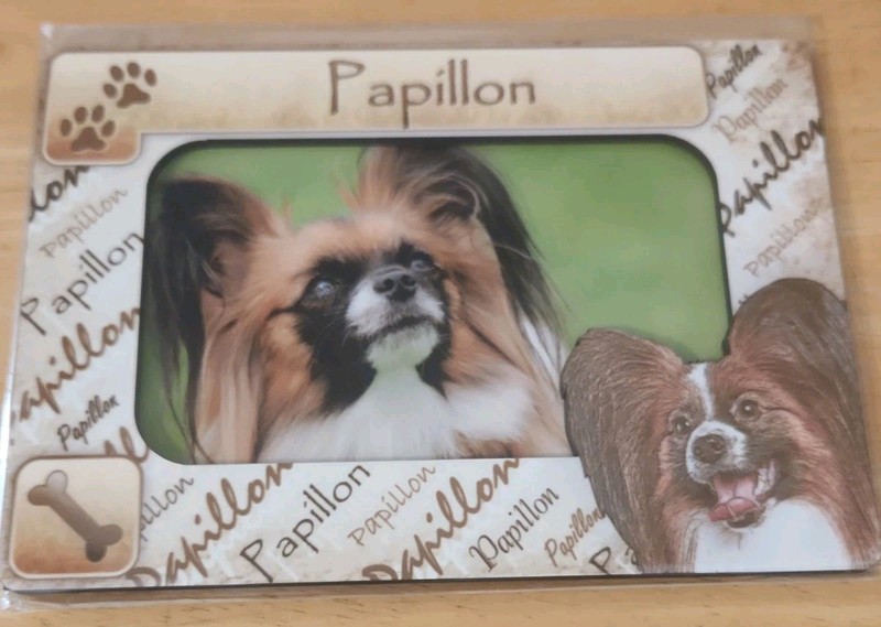 Papillon Magnetic Dog 5″ x 7″ Wooden Picture Frame Magnet 3″x5″ Inside NIP